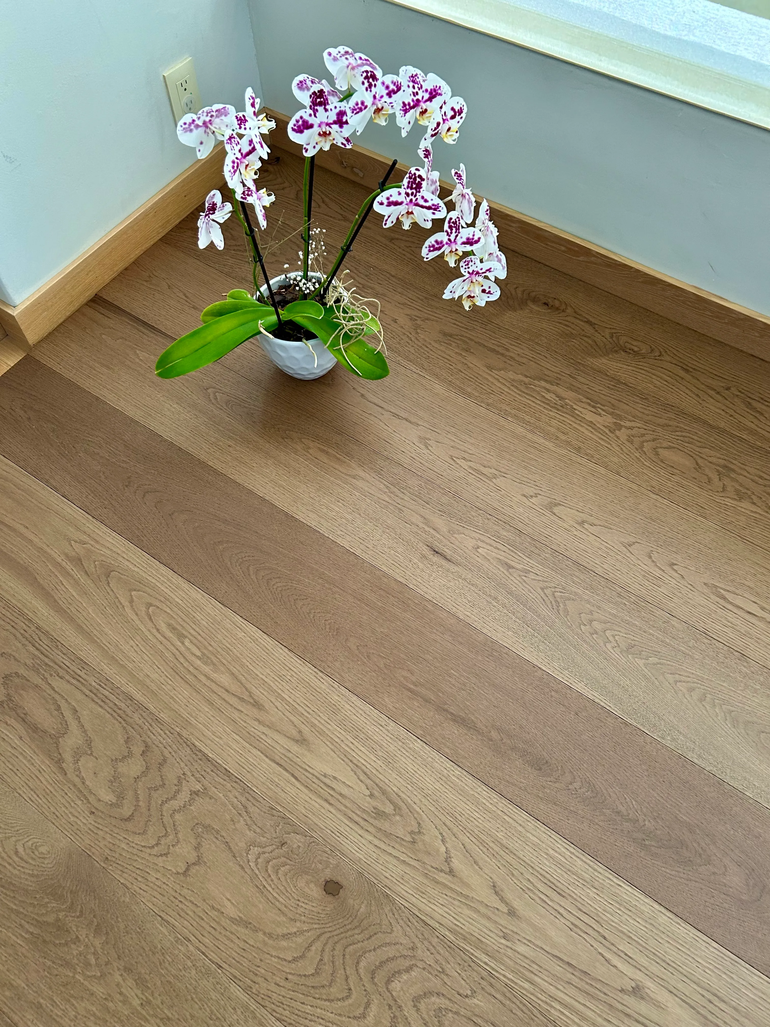 Caramel Oak — vista 5