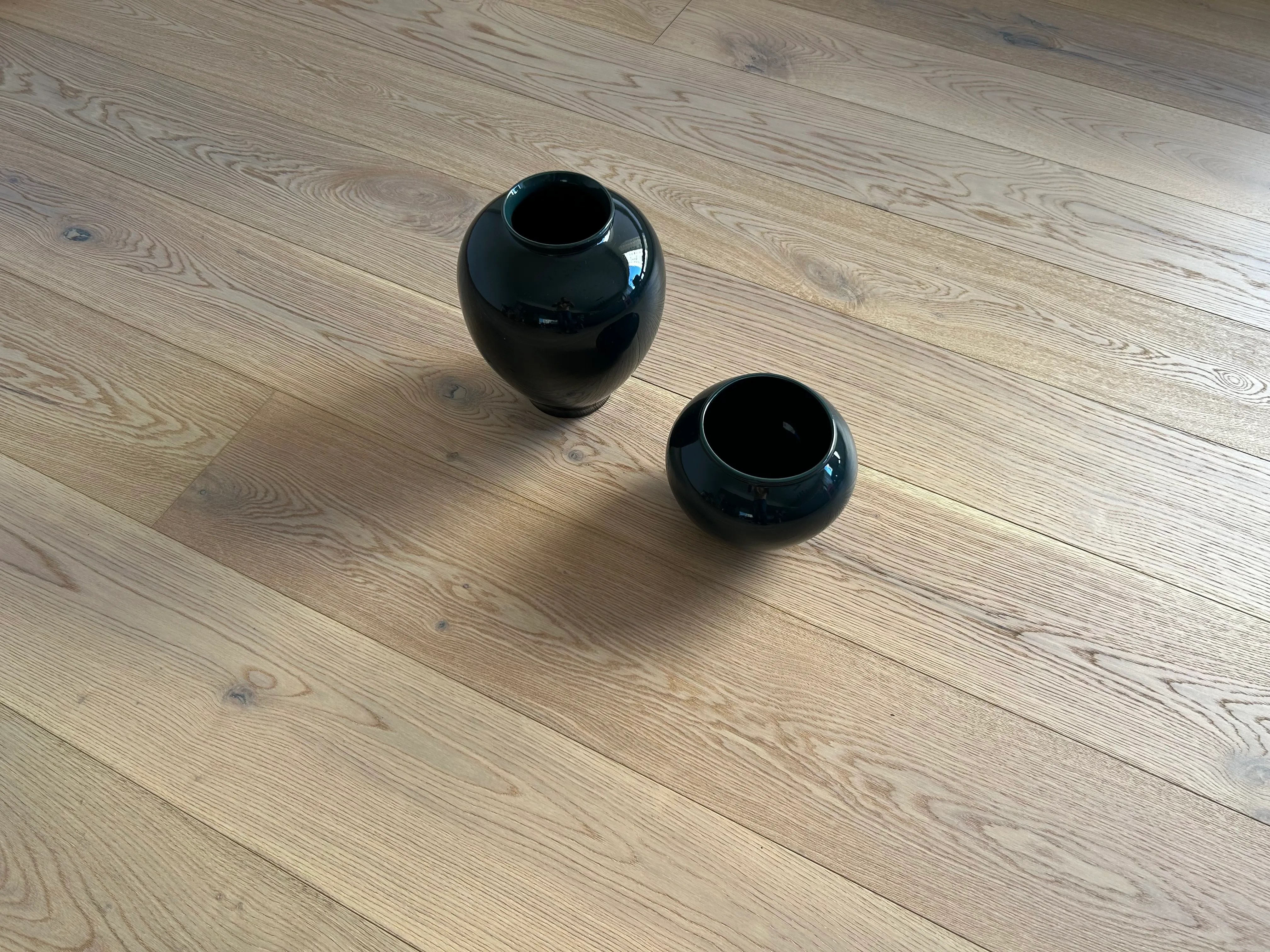 Snow Oak — vista 2