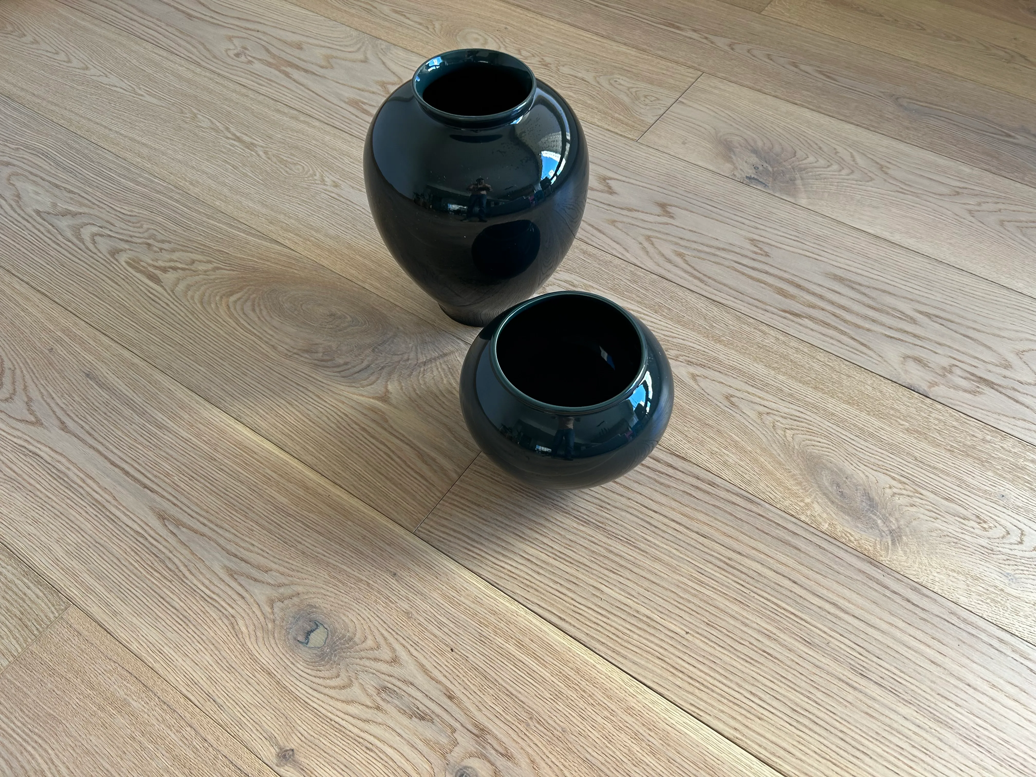 Snow Oak — vista 4